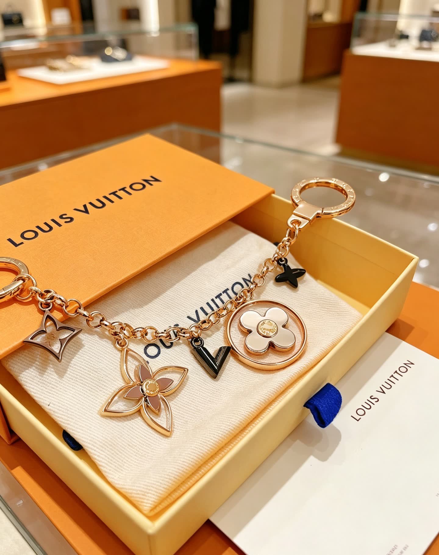 Louis Vuitton Monogram M50158 Keychain